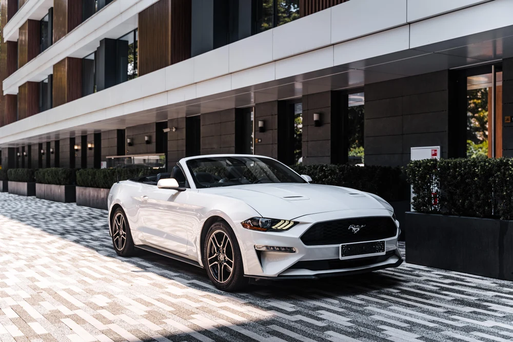 Берхман рент