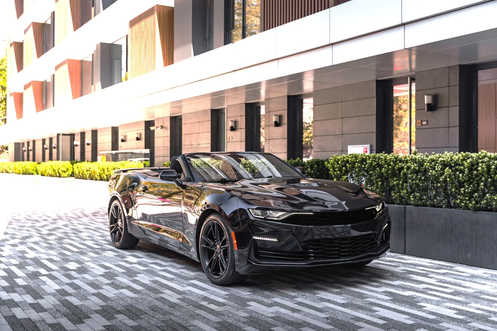 Берхман рент